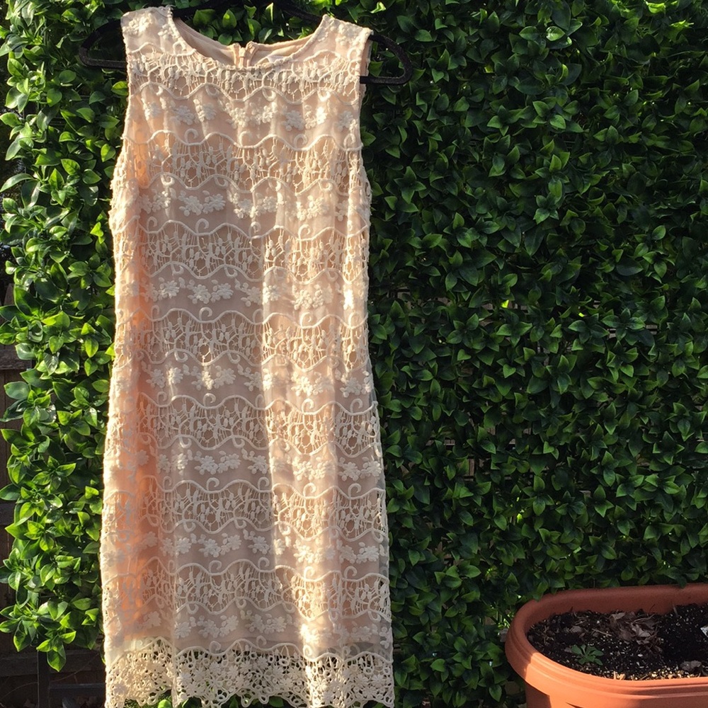 NWOT Badgley Mischka dress